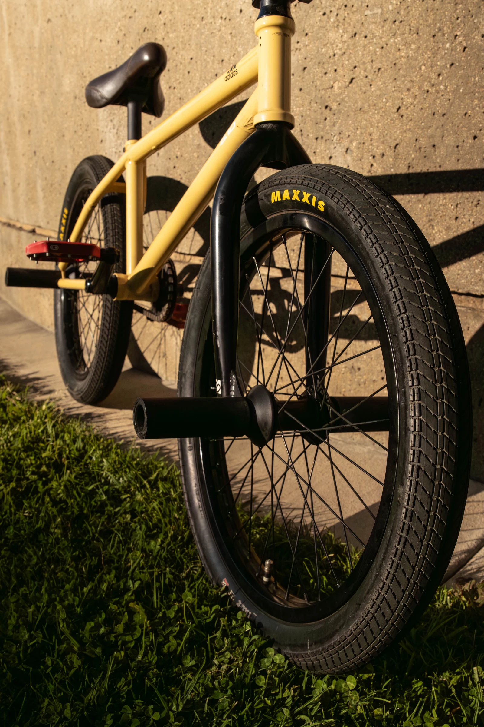 Maxxis / 08